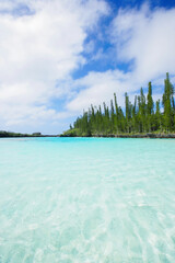 New Caledonia Sea