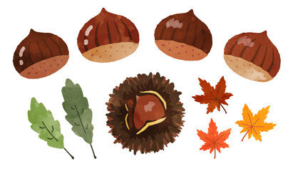 栗ともみじの水彩イラストセット