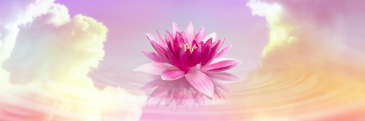 Floating beautiful lotus and reflection of sky with fluffy clouds on water, toned in pastel rainbow colors. Symbolic flower in Buddhism