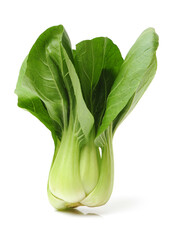 Pok Choi on white background