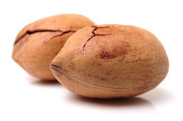 Peeled pecan nuts closeup, isolated on white background