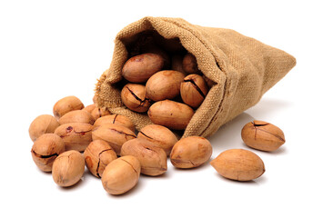 Peeled pecan nuts closeup, isolated on white background