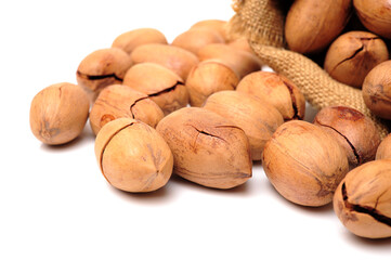 Peeled pecan nuts closeup, isolated on white background