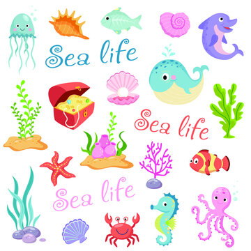 Cute sea life creatures cartoon animals set on white background vector illustration