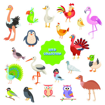 Big icon set of cute cartoon birds from around the world.Vector illustration isolated on white background