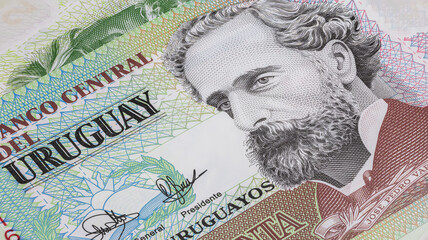 Close up to Uruguayan peso of the Republic of Uruguay. Polymer banknotes of South American country. Detailed capture of the front art design. Detailed money background wallpaper. Currency banknotes