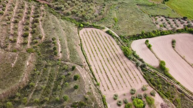 Cenital dron view of farms in Tarazona, Spain