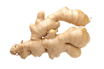ginger root isolated on white