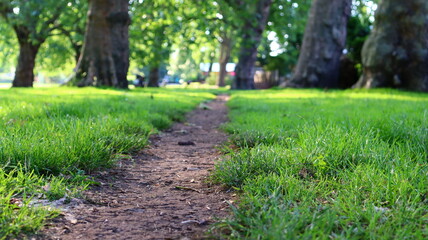Green path