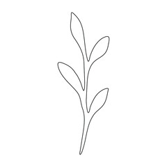 Sketch of a twig of a plant with leaves. Vector element for the design.