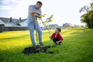  father and son planting tree with shovel at front of house, nice sunny day, father and son work together, Planting a family tree. Spring concept, nature and care © Bogdan