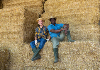 Naklejka na ściany i meble Two cheerful farmer friends sitting on haystack resting after work at farm. Successful agricultural activity concept