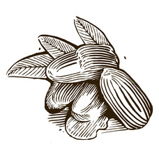 Illustration of Dates Vintage Isolated vector for branding menu logo label