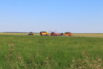 Fototapeta premium The concept of harvesting and harvesting of feed. Agricultural machinery on a green field against a blue sky background.