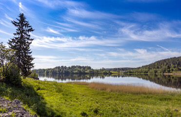 beautiful panorama of a rural landscape with a lake illuminated by the sun. summer panoramic view with bright green grass and large spruce. landscape, lake in front of the forest.