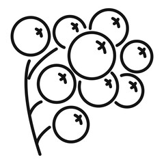 Rowan forest berry icon, outline style