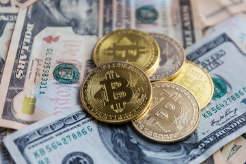 Bitcoin and american dollars