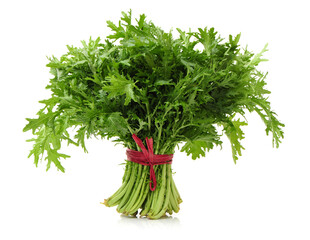 Shungiku, also known as tong hao, or edible chrysanthemum, Isolated on white. A leaf herb commonly used in asian food