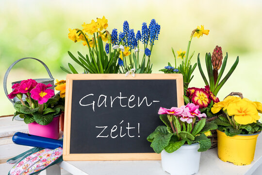 Tafel Gartenzeit vor Primeln und Narzissen - Symbolbild für Gartencenter, Gärtner usw.