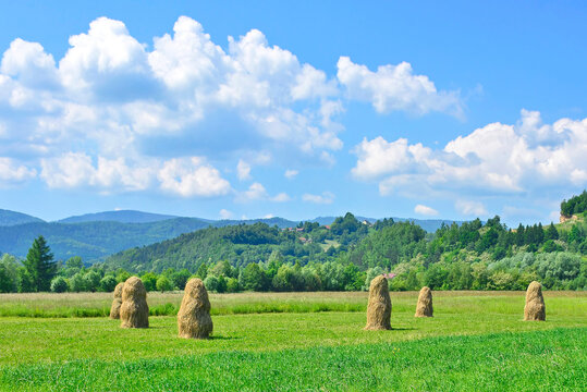 Field with haystacks in the sunny day.  Photo of rural landscape in the background of mountains, Barcice, Poland