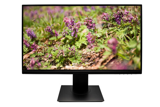 Lcd screen monitor isolated with spring flowers background