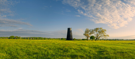 English rural scene with open pasture and wild flowers with disused mill on horizon. Beverley, UK. © Daniel