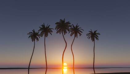 palm trees in tropical sunset