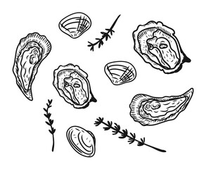 Vector vintage mussel set drawing. Hand drawn monochrome seafood illustration. Great for menu, poster or label.