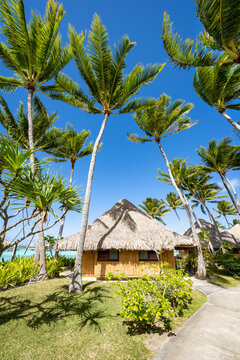 Summer vacation at a luxury beach resort