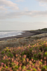 Early morning jogger runs along an empty beach.