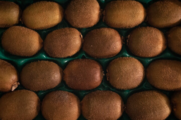 kiwi 