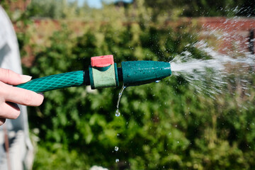 Woman watering flowers in the garden at summer day. Woman using garden hose
