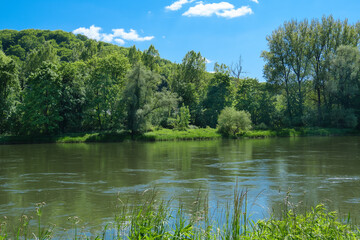 Das Ufer der Donau zwischen Kelheim und Weltenburg im Sommer unter einem blauen Himmel