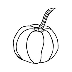 Doodle pumpkin on a white background.Vector pumpkin can be used in textiles, postcards,coloring books, and packaging.