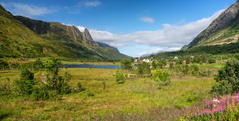 Beautiful summer landscape, green meadow in the mountains, small village on Lofoten islands in Norway