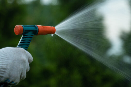 Gardening And Maintainance- Close Up Of Man Hands With Hose Watering The Lawn