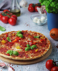 Pizza with salami and basil