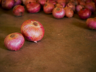 Double onion presented with huge stock on blur background