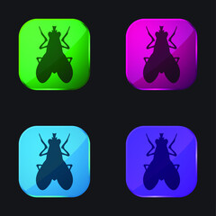 Blow Fly Insect Shape four color glass button icon