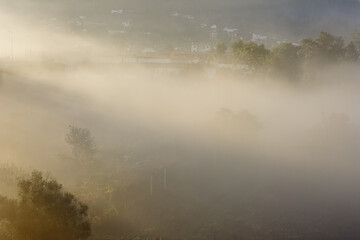 Misty rural landscape