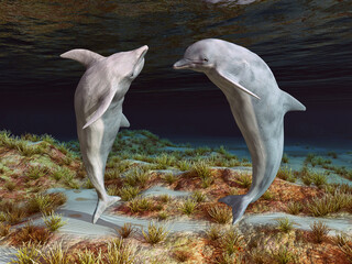 Zwei Delfine in einer Unterwasserlandschaft © Michael Rosskothen