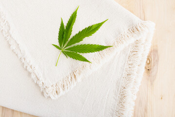 Fabric made from hemp. Cannabis plant leaves and fiber, Hemp cloth production
