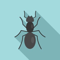 Animal ant icon, flat style