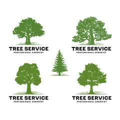 Professional Arborist Tree Care Service Organic Eco Sign Concept. Landscaping Design Raw Vector Illustration	
