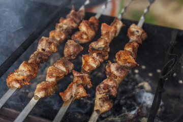 Pork shashlik on skewers