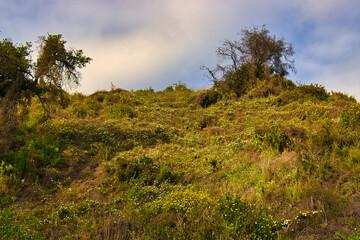 Obraz premium Hiking the Franklin trail in Carpinteria California