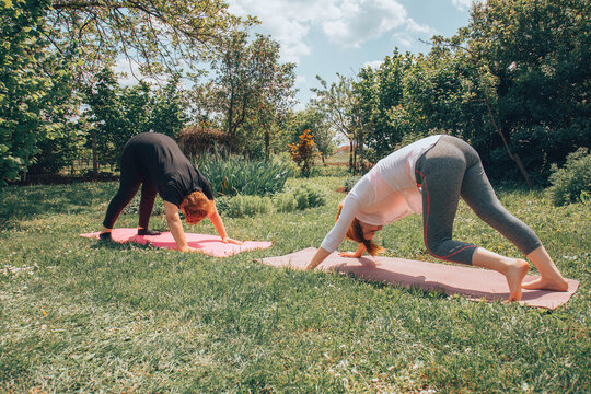 Mother and daughter doing yoga in nature. Healthy lifestyle.