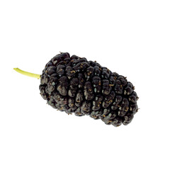 mulberry isolated on white background. black berries