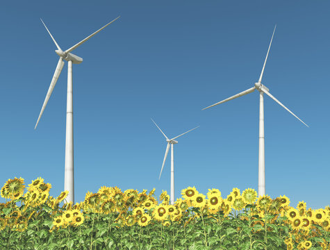 Windkraftanlagen in einem Feld mit Sonnenblumen