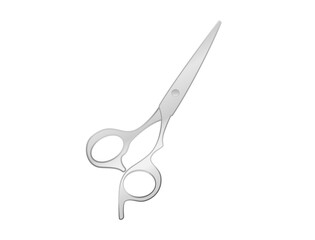 The silver scissors that seem to be closed